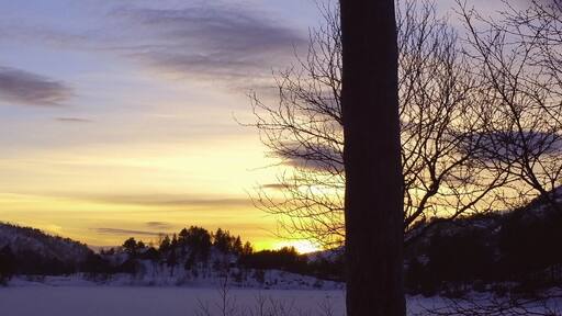 Winter sun on the ski trail at KvĂŠven.