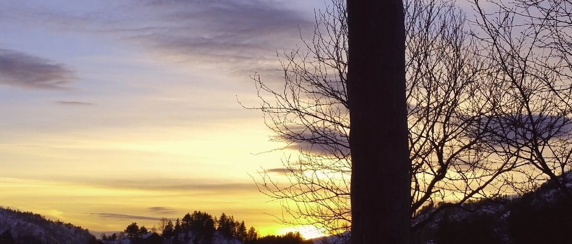 Winter sun on the ski trail at Kvæven.