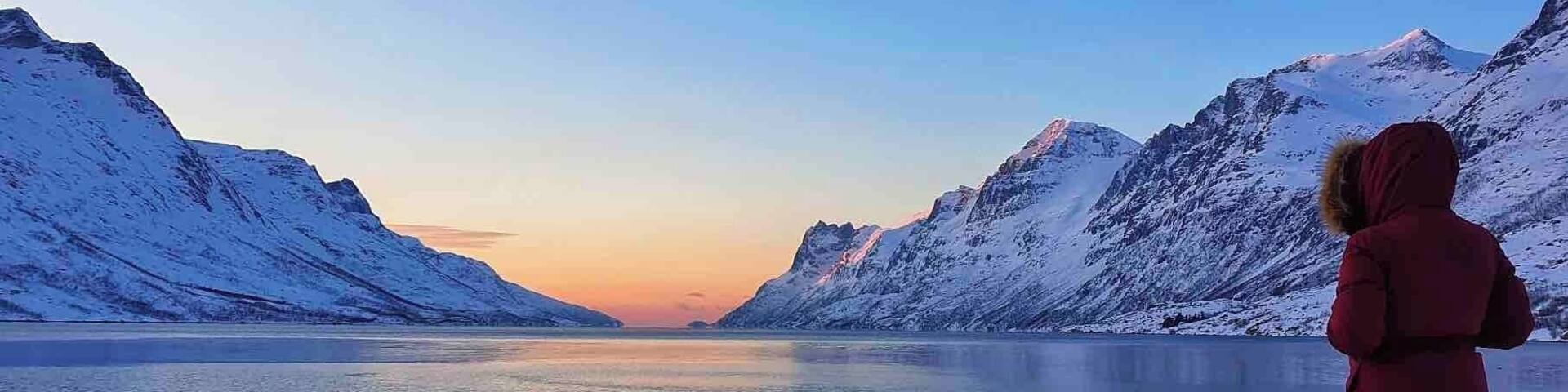 Looking over Ersfjorden about an hour before sunset. Even though the skies were clear it was still a beautiful place to take a photo #travel #norway #ersfjorden #arctic #roadtrip #fjord