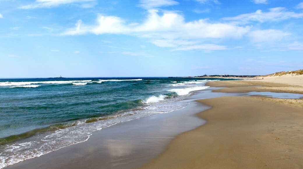 The beaches to the west of Sandnes are some of the finest in Norway. Klepp boasts the longest sandy beaches in the country, 11 km in all, and long stretches of sand dunes with their own special flora and fauna. The entire beach areas of Jæren are classified as a conservation area, and segments are plant and wildlife conservation reserves.