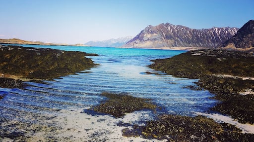 I fall short of words to describe the beauty of Lofoten..!! This is the Gimsoy beach.. And the shades of #Blue are just unbelievable.. The Norwegian Sea plays up in the most beautiful hues.. #Blue