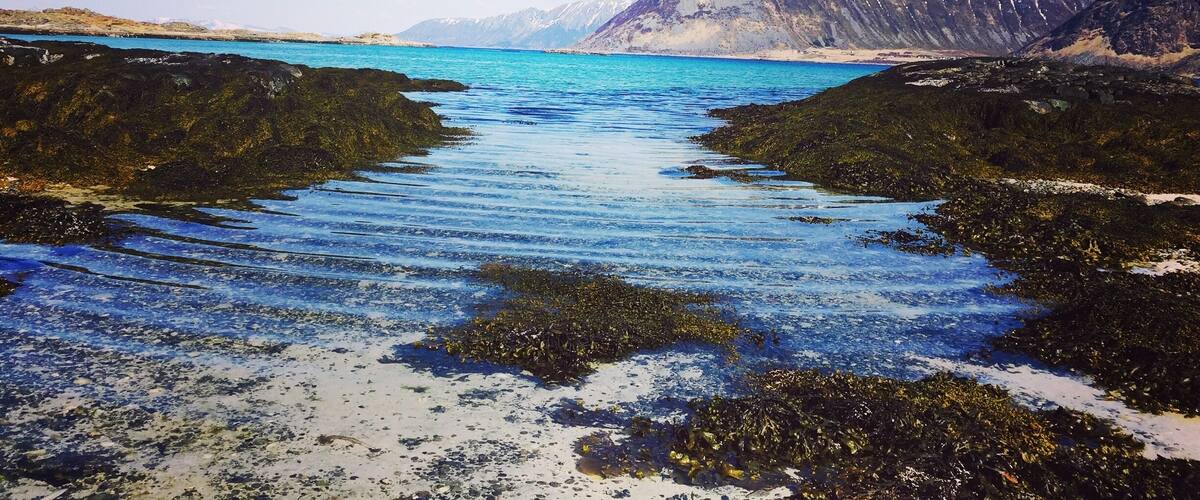 A coastal landscape with clear blue waters, rocky shores, and a mountain range in the background.