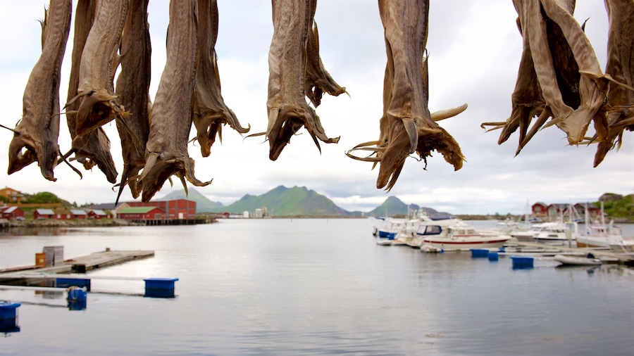 Northern Norway featuring a marina