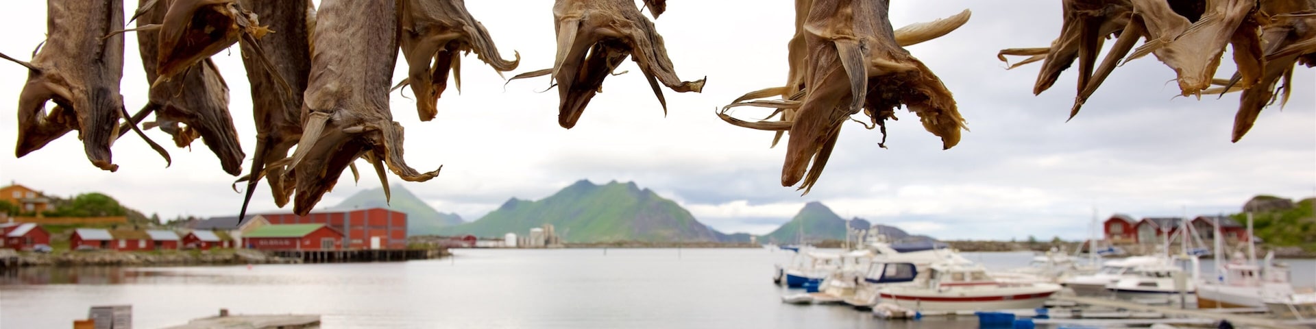 Norte da Noruega caracterizando uma marina