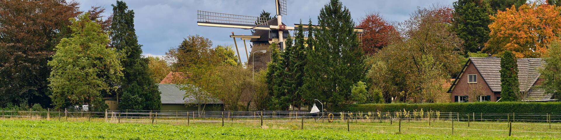 Historic Dutch windmill Coopsmolen partly hidden among autumn trees near Zelhem village, surrounded by farmhouses and green farmland under a cloudy sky in the Netherlands
