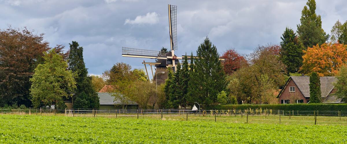 A traditional windmill in a rural setting with autumn-colored trees and a field in the foreground.