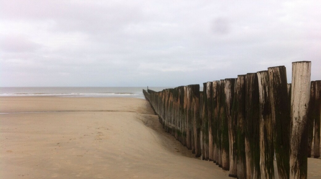 Sunny winter day in The Netherlands peninsula.