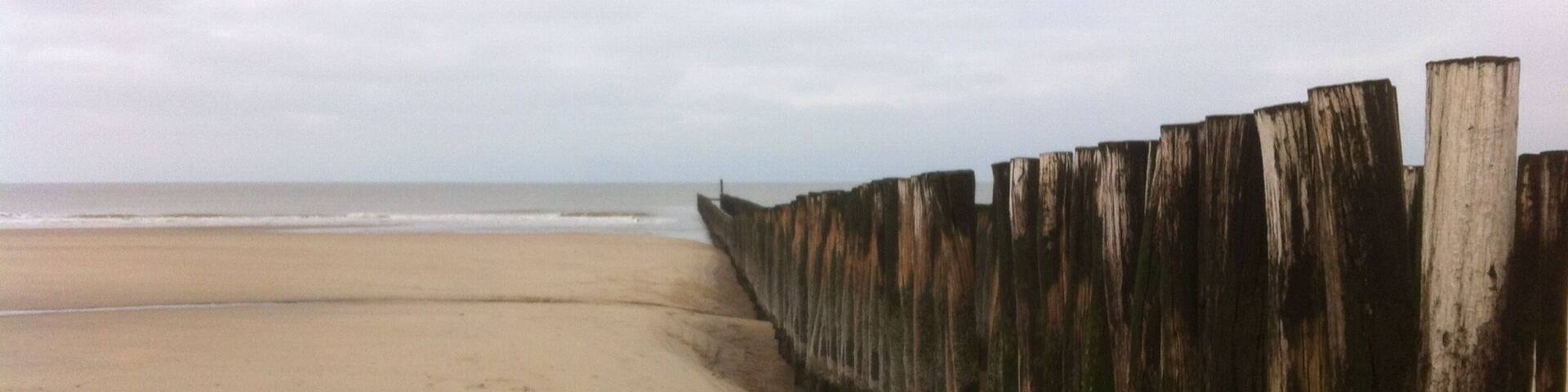 Sunny winter day in The Netherlands peninsula.