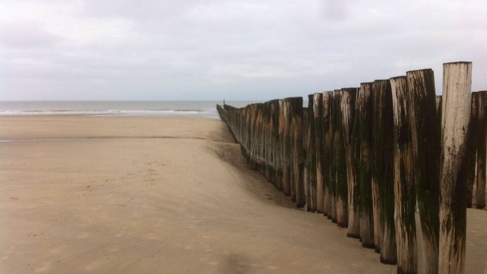 A sandy beach with a wooden sea wall.