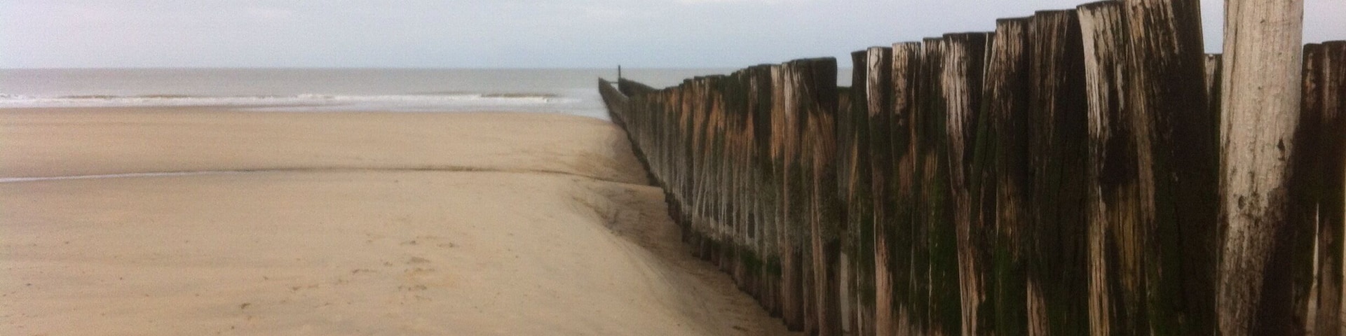 Sunny winter day in The Netherlands peninsula.