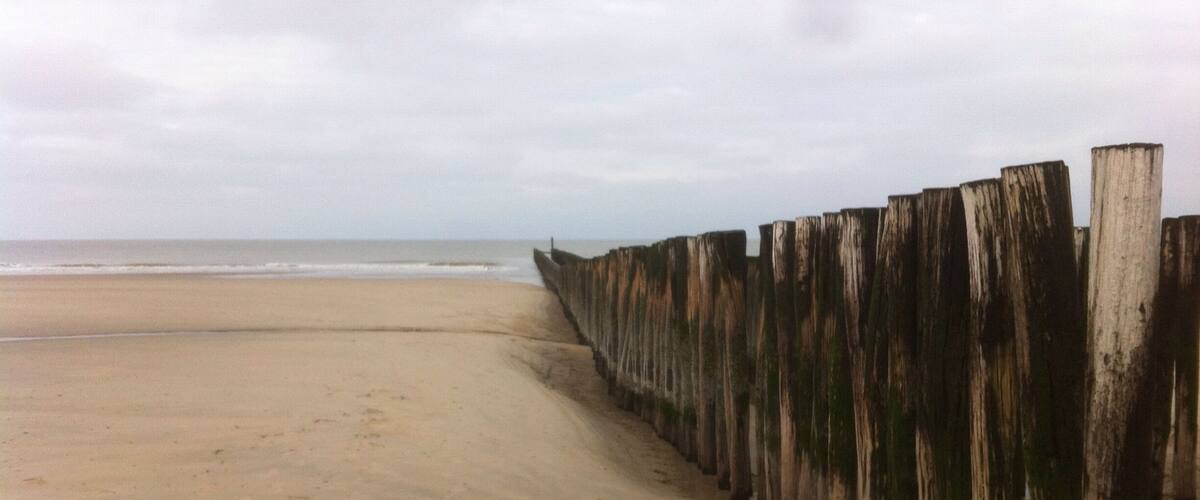 A sandy beach with a wooden sea wall.