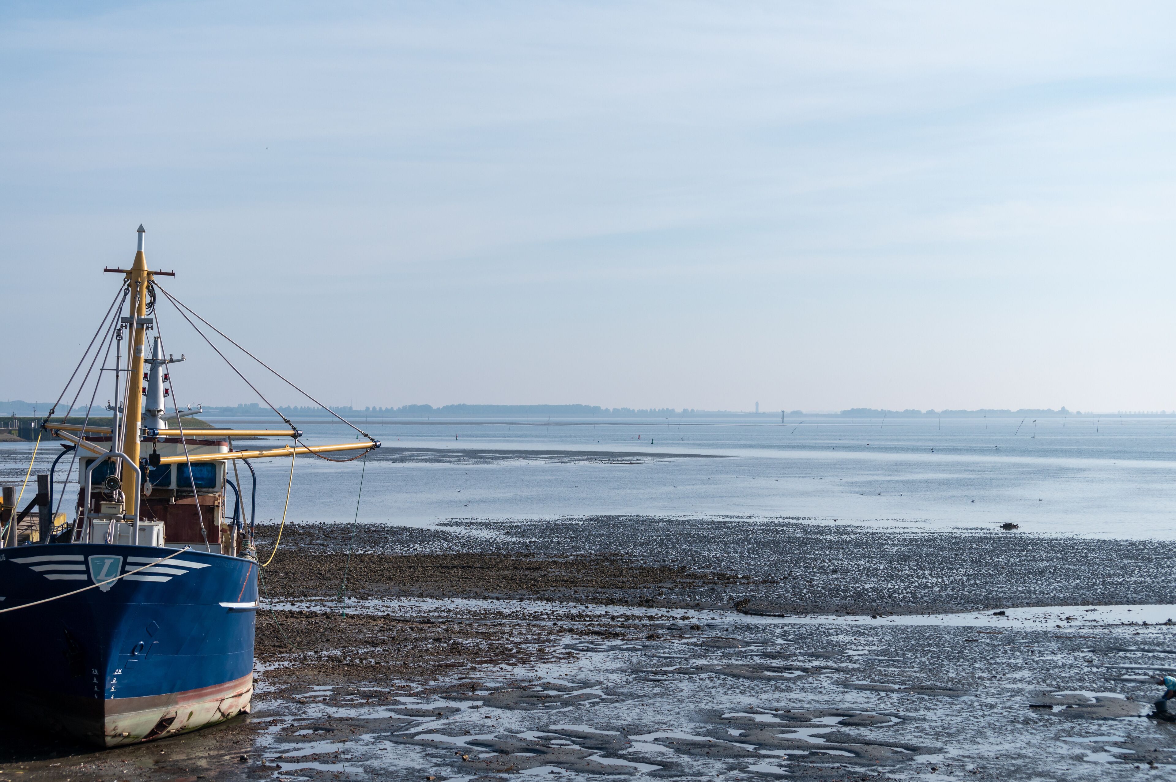Coastline in zeeuwse village Yerseke with famous oysters wells during low tide, Zeeland, Netherlands