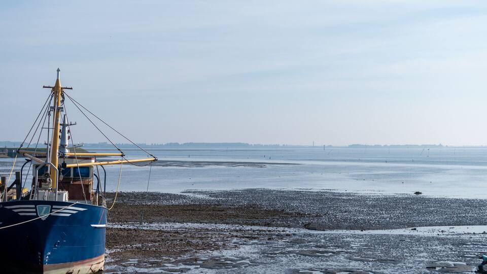 A blue fishing boat on a rocky shore with calm water in the background.