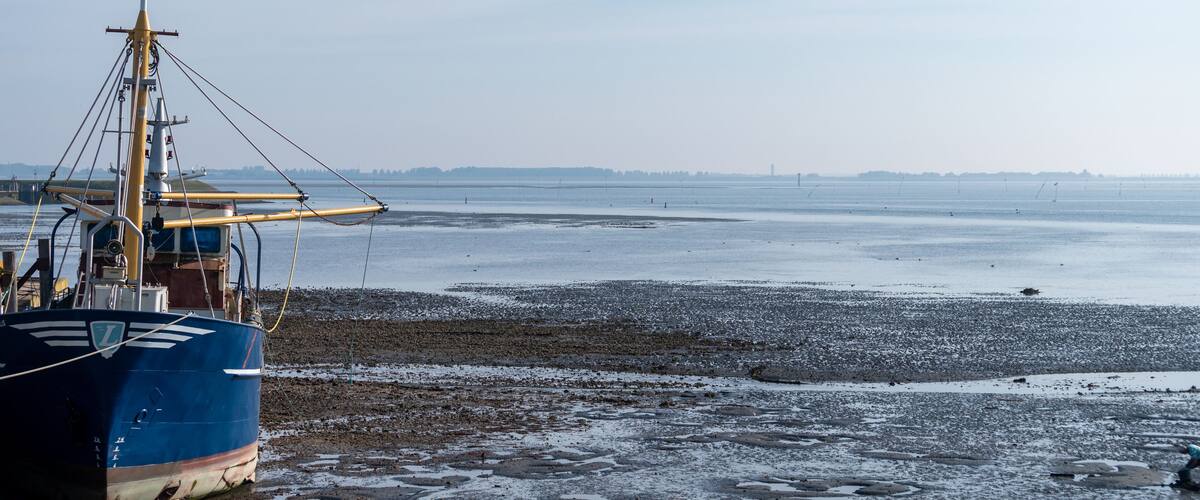 A blue fishing boat on a rocky shore with calm water in the background.