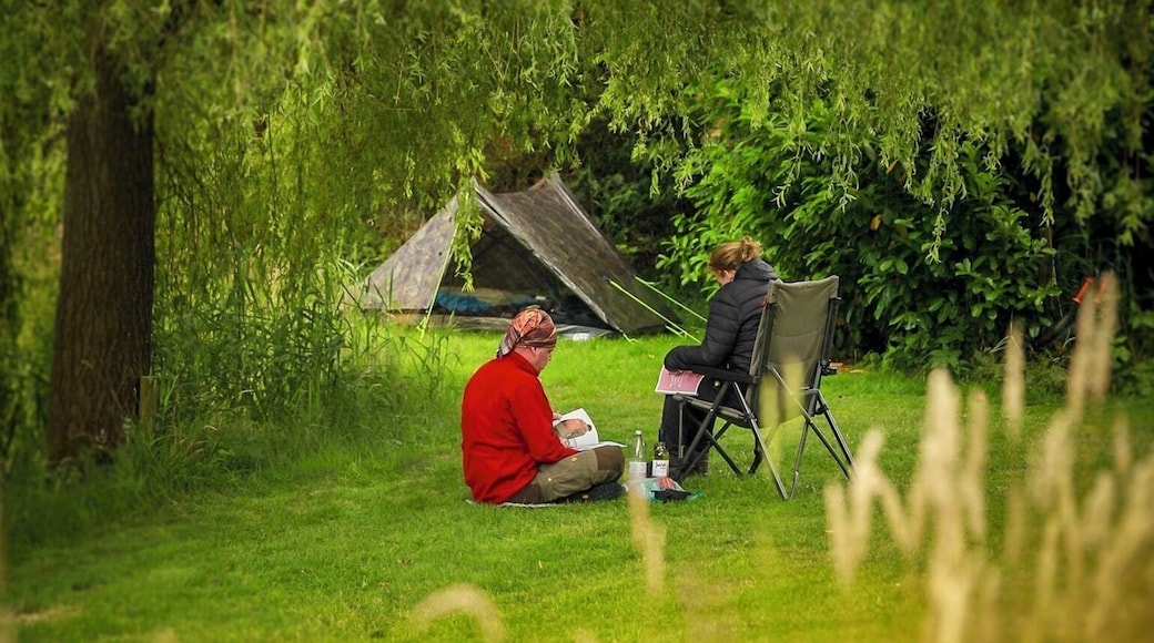 We found this awesome campsace, in the garden of Frans and Hanneke there is room for a few campers (RV’s) and small tents. They have a very nice pond there and are really friendly!
#camping #campspace
Please go to:
https://campspace.com/en/s/Netherlands/op-het-eind-overnight-stay-in-sheltered-garden-near-the-pond-on-dead-end-road
For all details! Have fun!