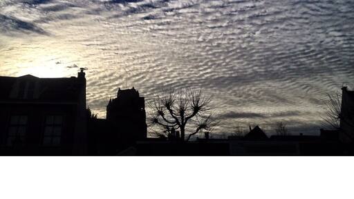 A very nice city near the river Rhine and Lek.