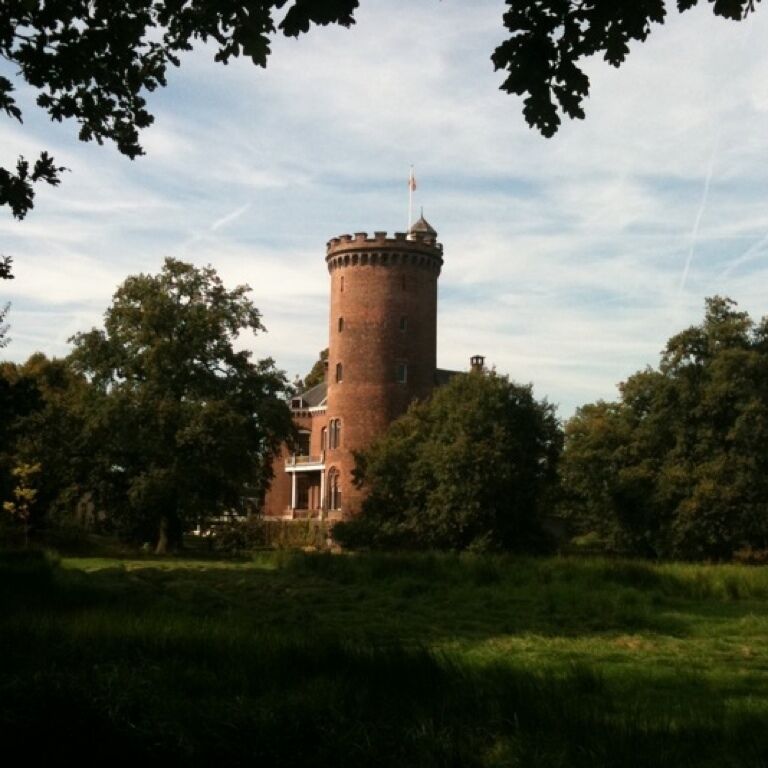 A castle with a round tower, surrounded by trees and grass.