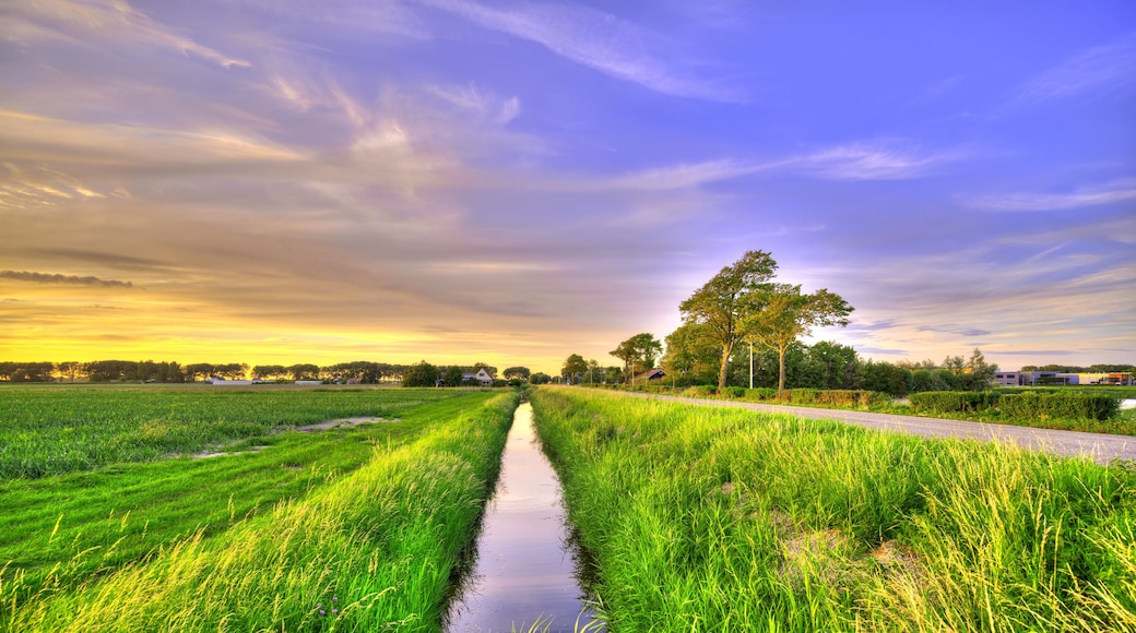 A small canal in a polder landscape in Holland at sunset.