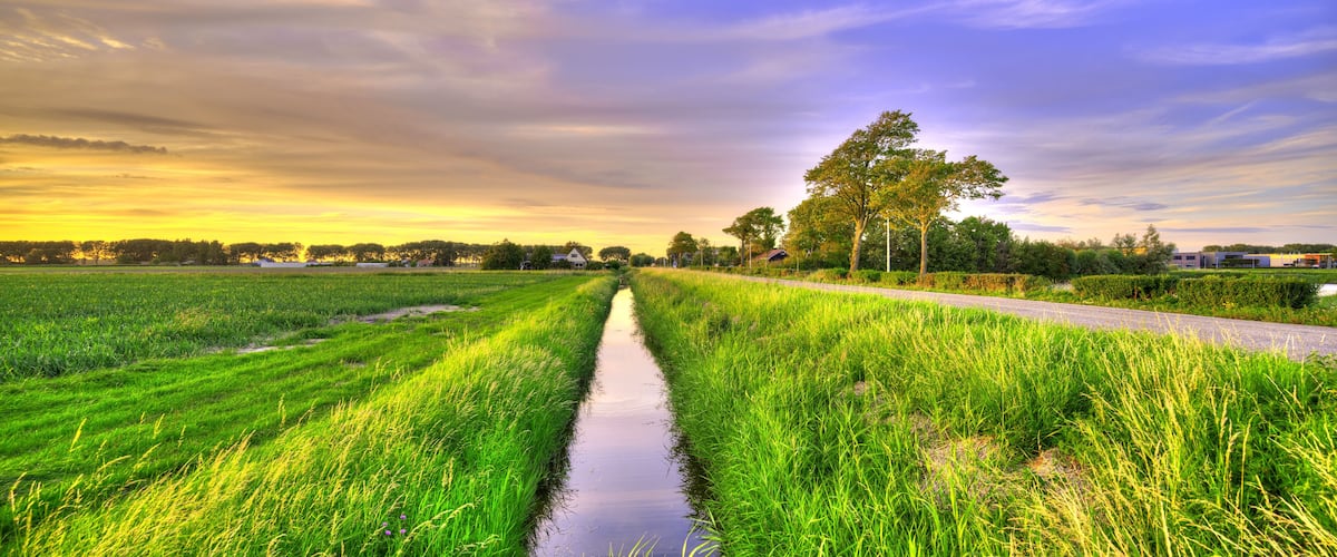 A rural landscape with a narrow water channel, lush green fields, and a tree-lined road.