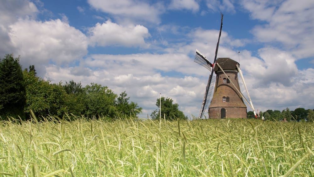 Windmill the Piepermolen