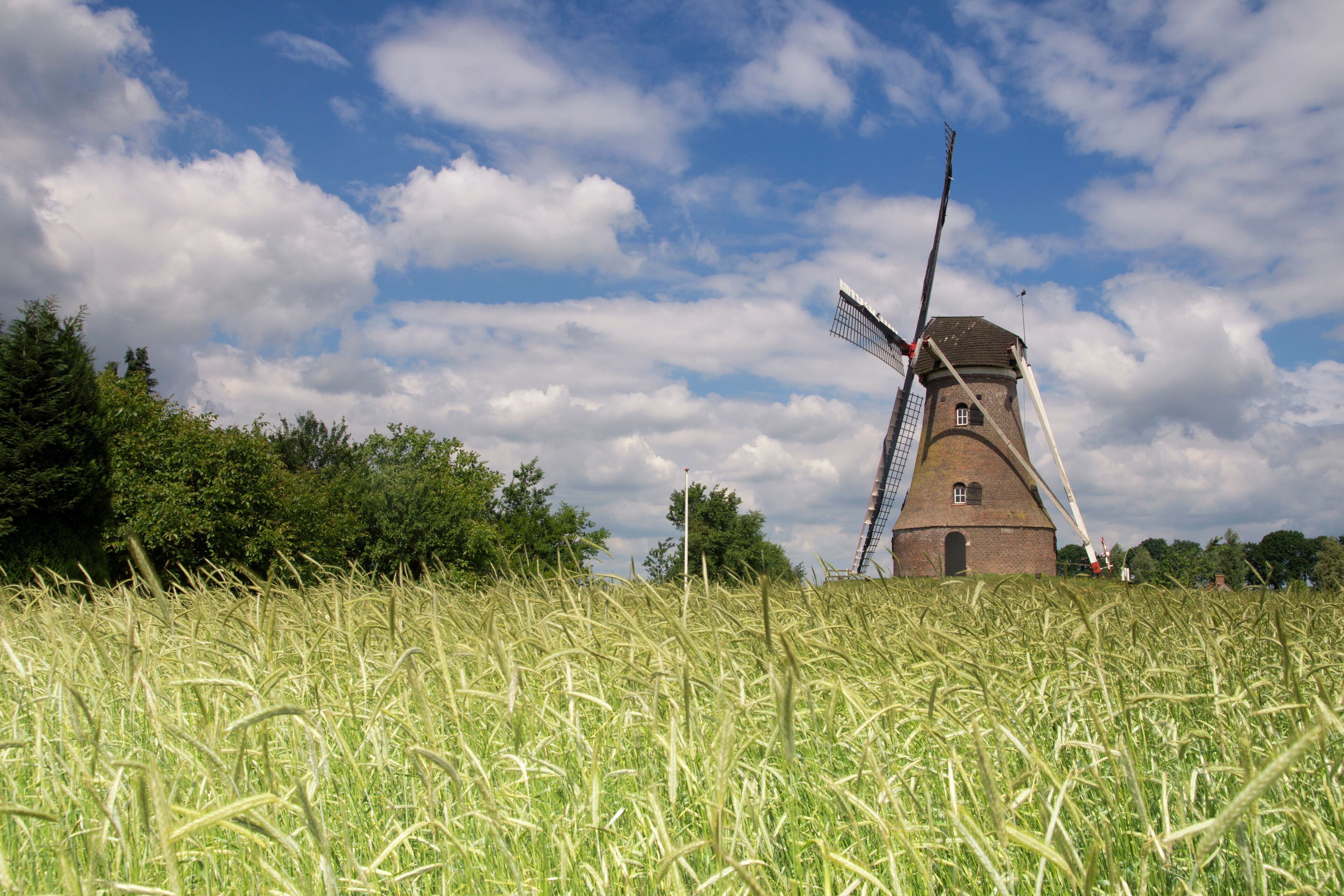 A windmill in a field of tall grass under a partly cloudy sky.