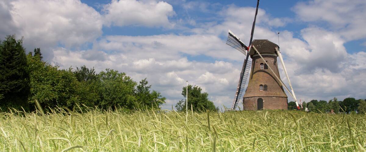 A windmill in a field of tall grass under a partly cloudy sky.