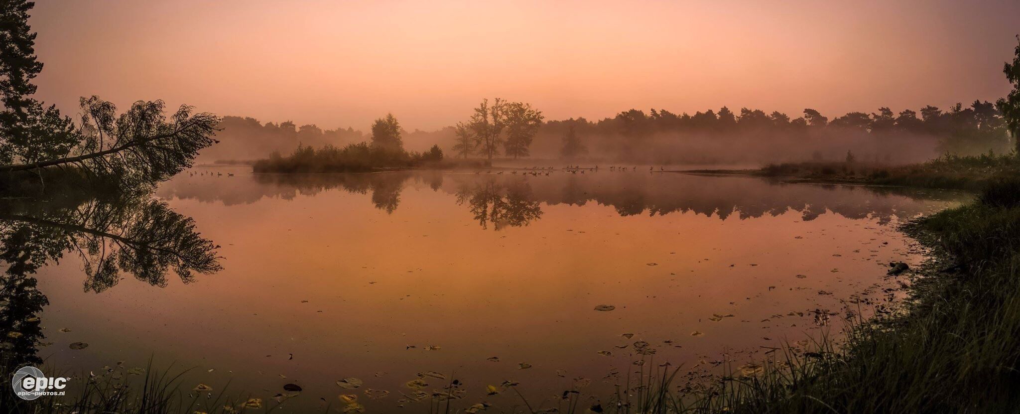 A calm lake at sunrise with trees reflecting on the water's surface.
