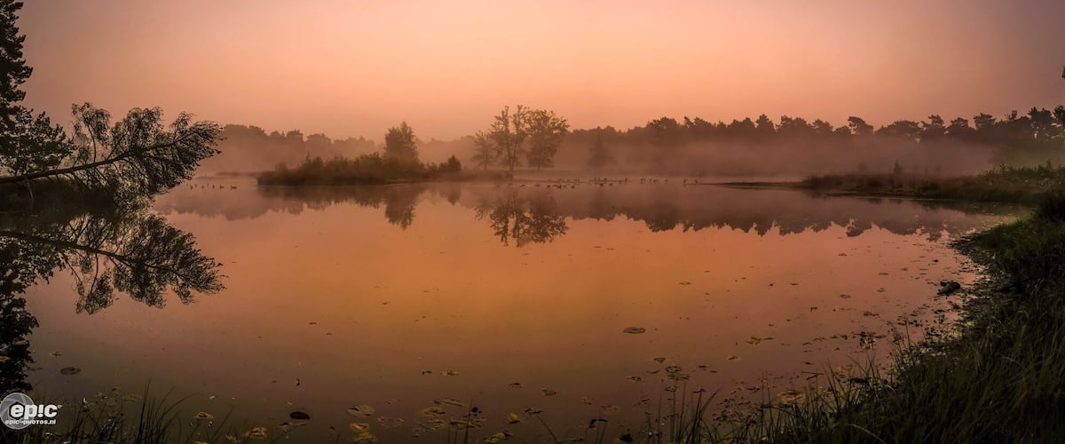 A calm lake at sunrise with trees reflecting on the water's surface.