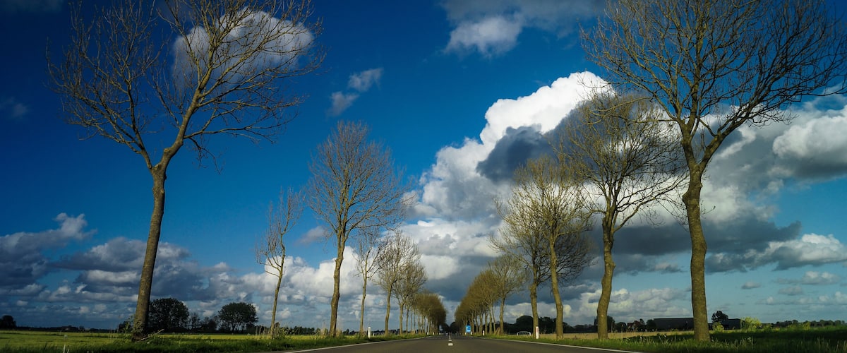 A road flanked by leafless trees under a partly cloudy sky.
