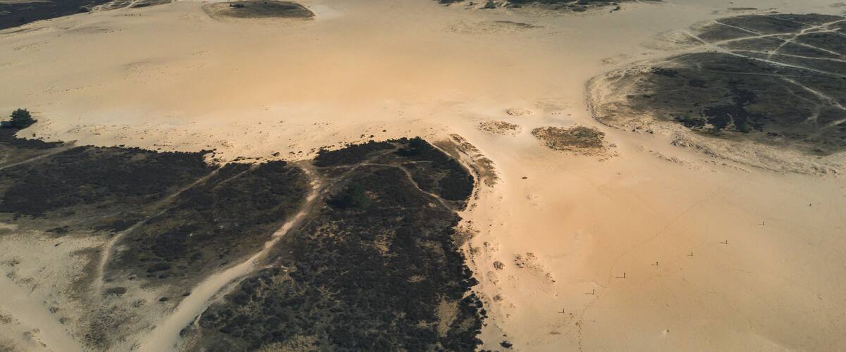 An aerial view of a vast desert landscape with sand dunes and sparse vegetation.