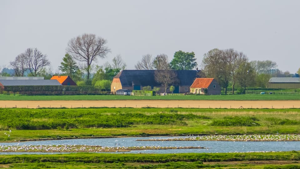 A rural landscape with a river, green fields, and a windmill in the distance.