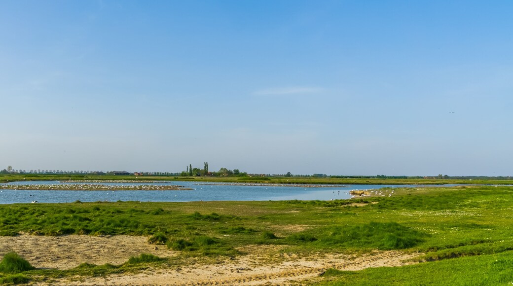 the schakerloopolder in Tholen city with rural buildings in the distance, nature scenery of Zeeland, the netherlands