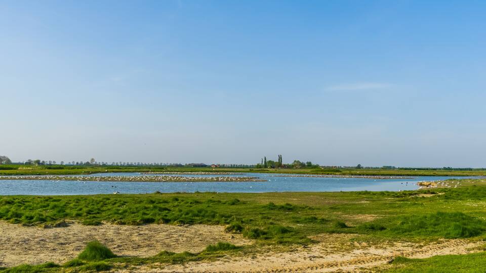A river with green banks and a distant tree line.