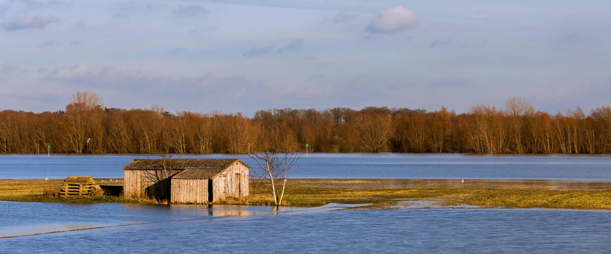 A wooden structure partially submerged in water, surrounded by a forest and a clear sky.