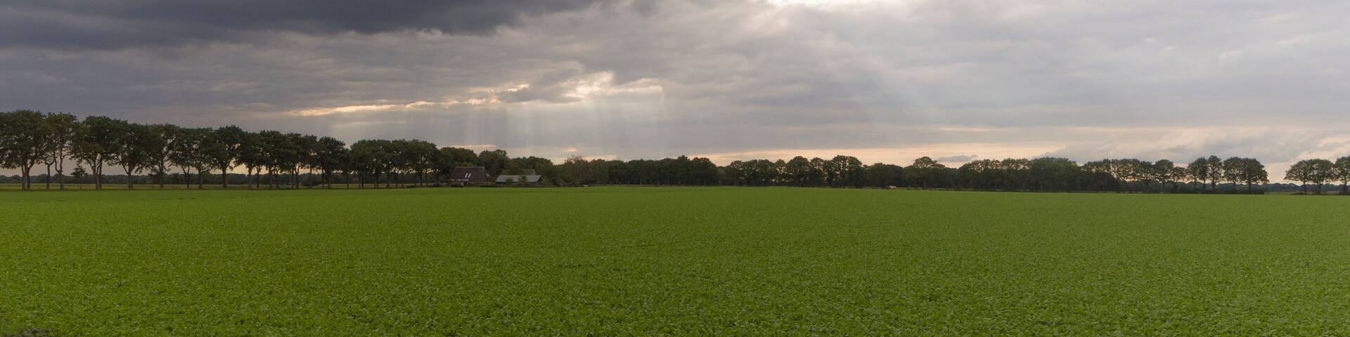 Jacobs ladder near the town of Sleen, The Netherlands