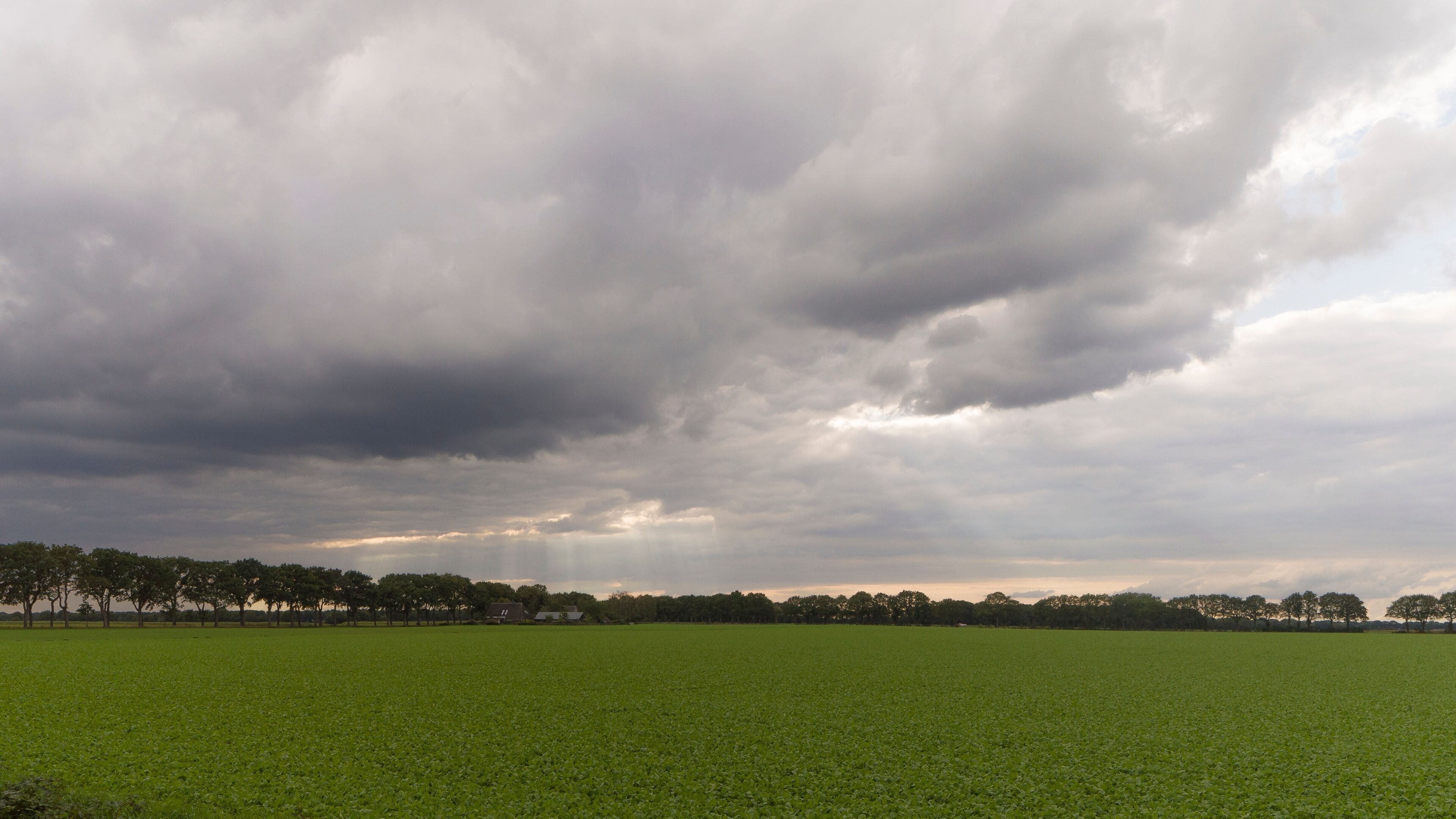 A vast green field under a cloudy sky.
