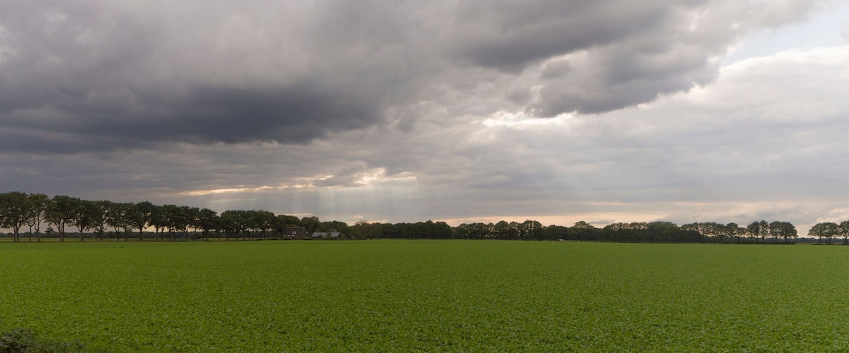 A vast green field under a cloudy sky.