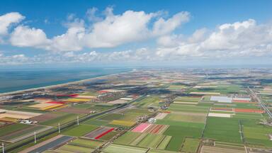 Panoramic aerial view of a tulip field in The country of tulips, Holland