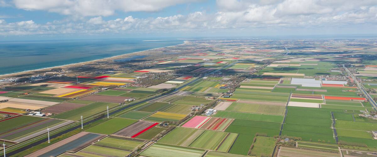 An aerial view of a coastal landscape with farmland, a coastline, and a distant city.
