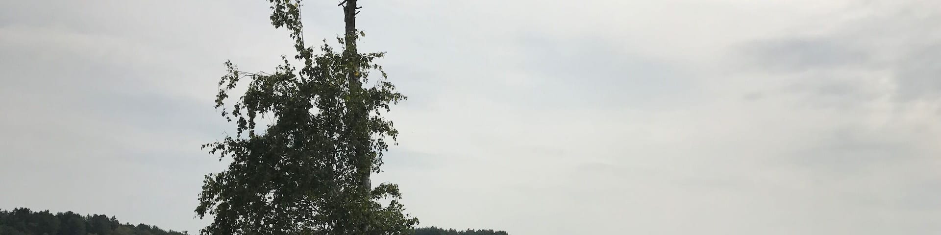 Nature reserve, staatsbossen Sint Anthonis, Sint Anthonis the Netherlands đłđ±