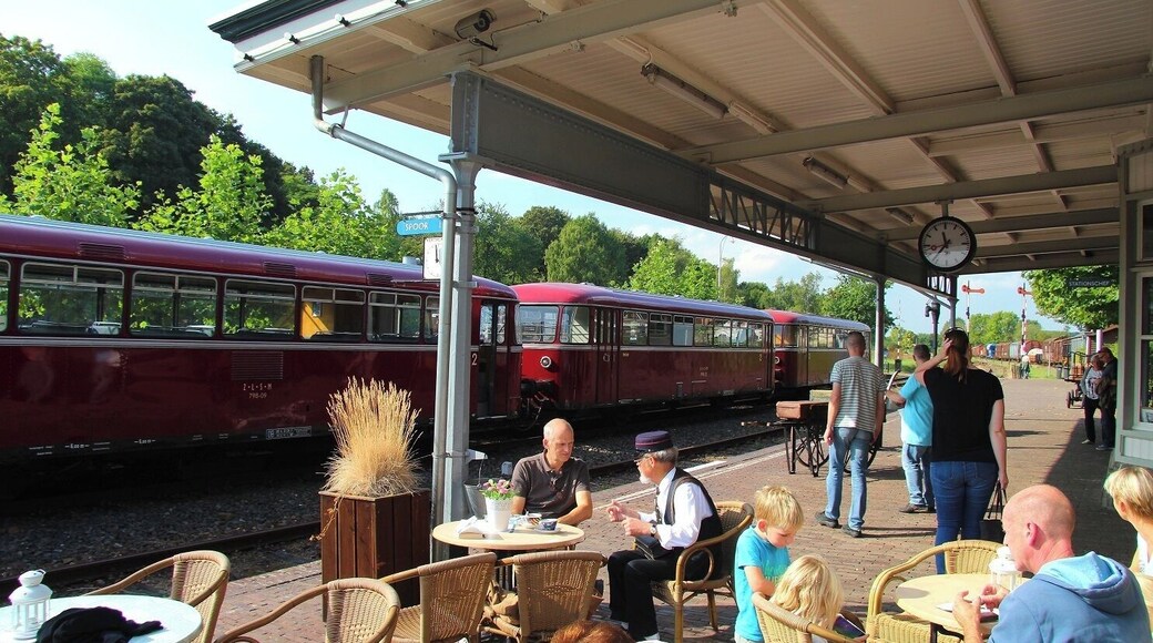 The Zuid-Limburgse Stoomtrein Maatschappij (South Limburg Steam Train Company) or ZLSM is a heritage railway operating in the south of the Netherlands. It runs over the border into Germany and has an extensive collection of stock. The ZLSM is currently partnered with the Great Central Railway in England, as they are both double-track preserved lines.
https://en.wikipedia.org/wiki/Zuid-Limburgse_Stoomtrein_Maatschappij
Original website :
http://www.zlsm.nl/