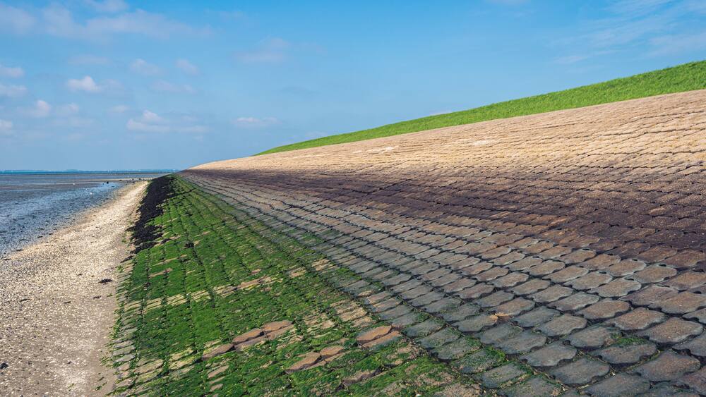 Dutch dike along the Oosterschelde at low tide. The dike is reinforced with stones and partly overgrown with green algae. The photo was taken near the village of Scherpenisse, Tholen, Zeeland.