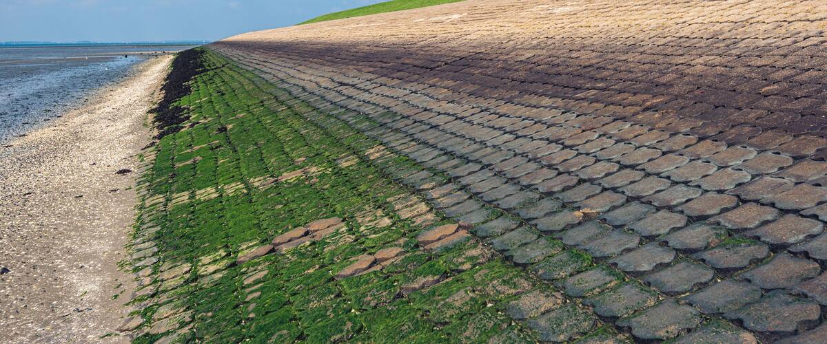 A coastal walkway with a paved path and grassy embankment.