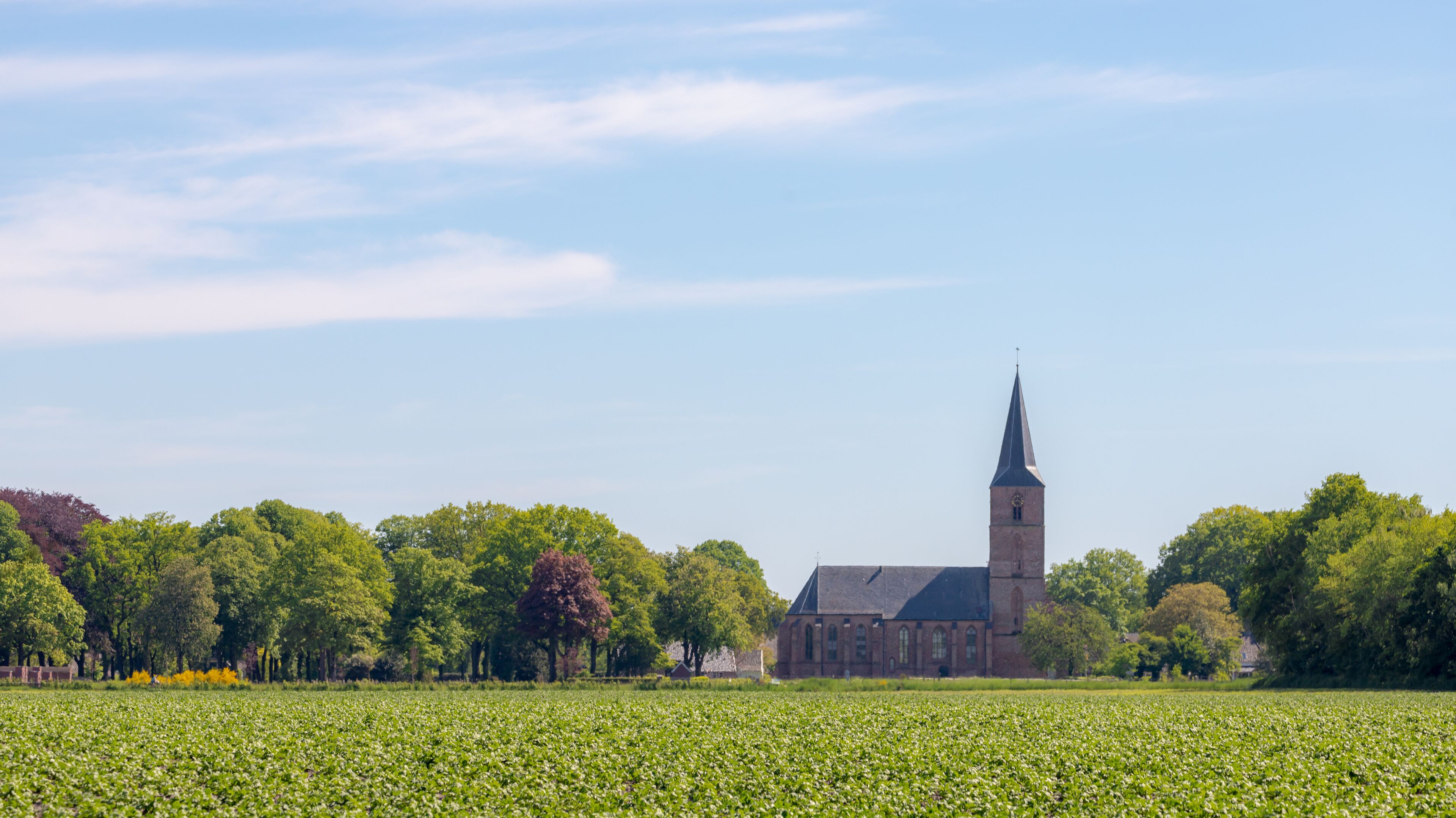 A church with a tall steeple, surrounded by a field of crops and trees.