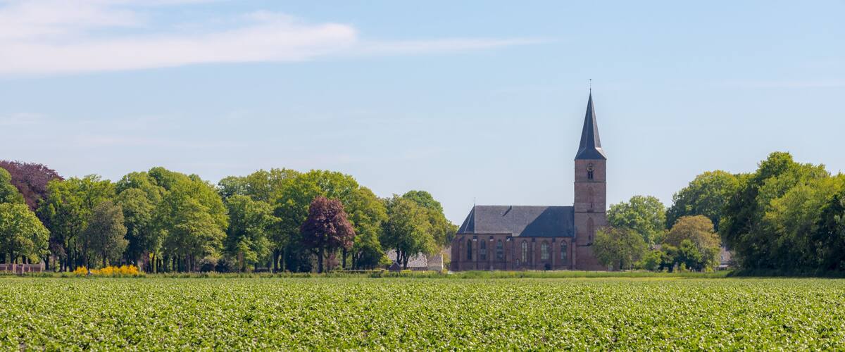 A church with a tall steeple, surrounded by a field of crops and trees.