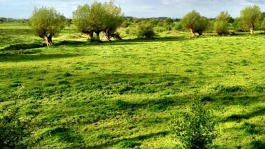 Typical Dutch river landscape