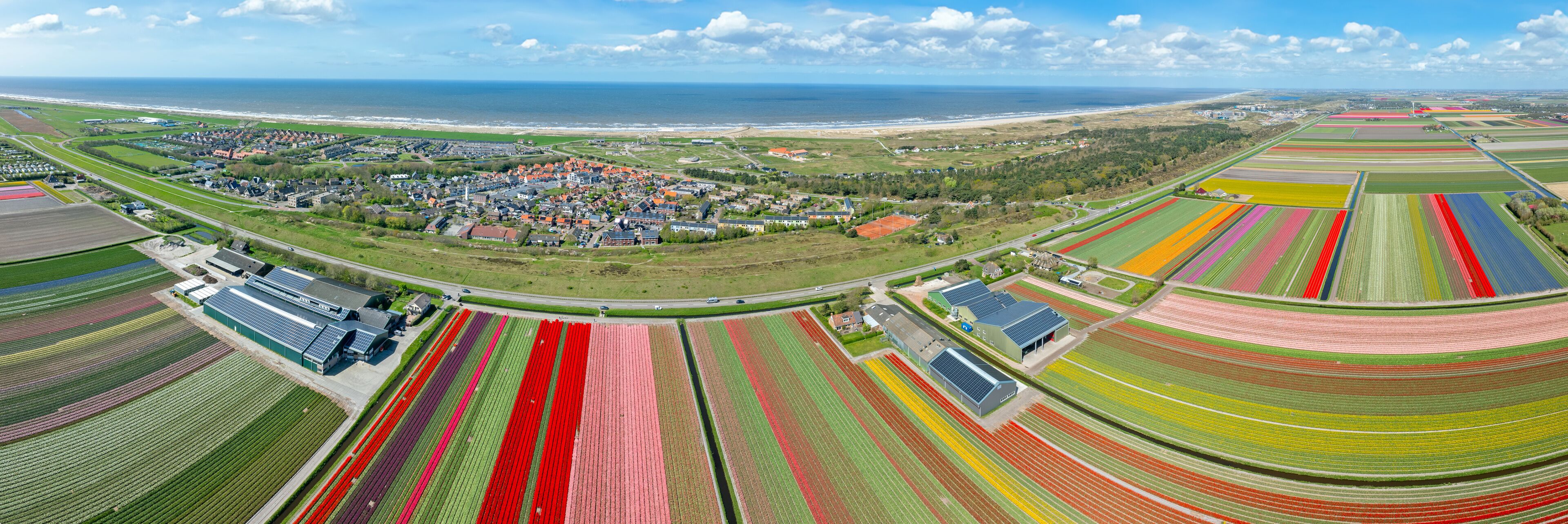 Aerial panorama from tulipfields near the village Petten in the Netherlands