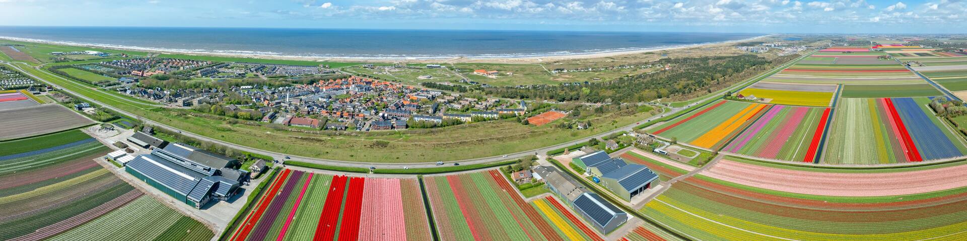 Aerial panorama from tulipfields near the village Petten in the Netherlands