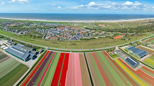 Aerial panorama from tulipfields near the village Petten in the Netherlands