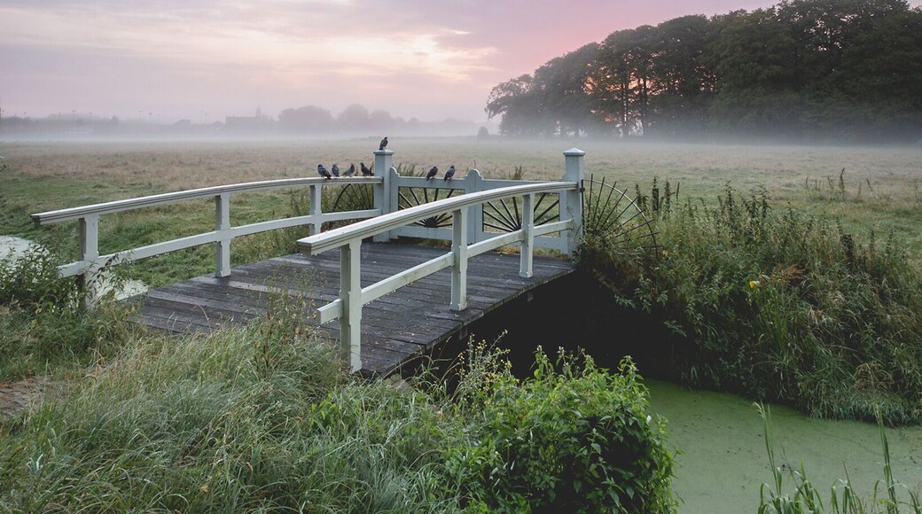The parc behind this photo is even better, but the meadow in front is very much worth a early morning walk as well.